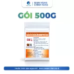 Men Tiêu Hóa Sacccharomyces Đậm Đặc
